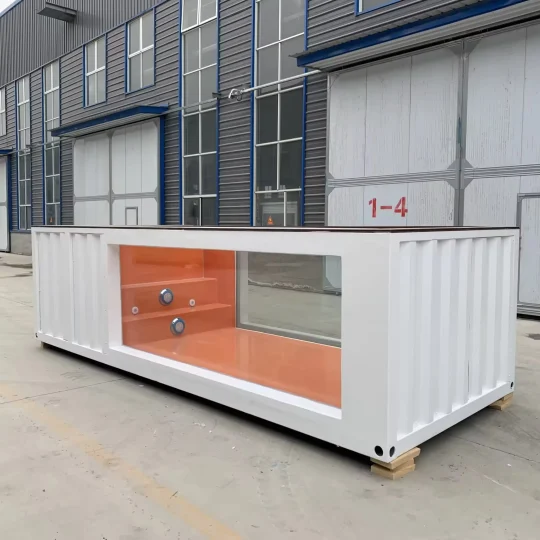 20ft Container Swimming Pool With Fiber Glass Window